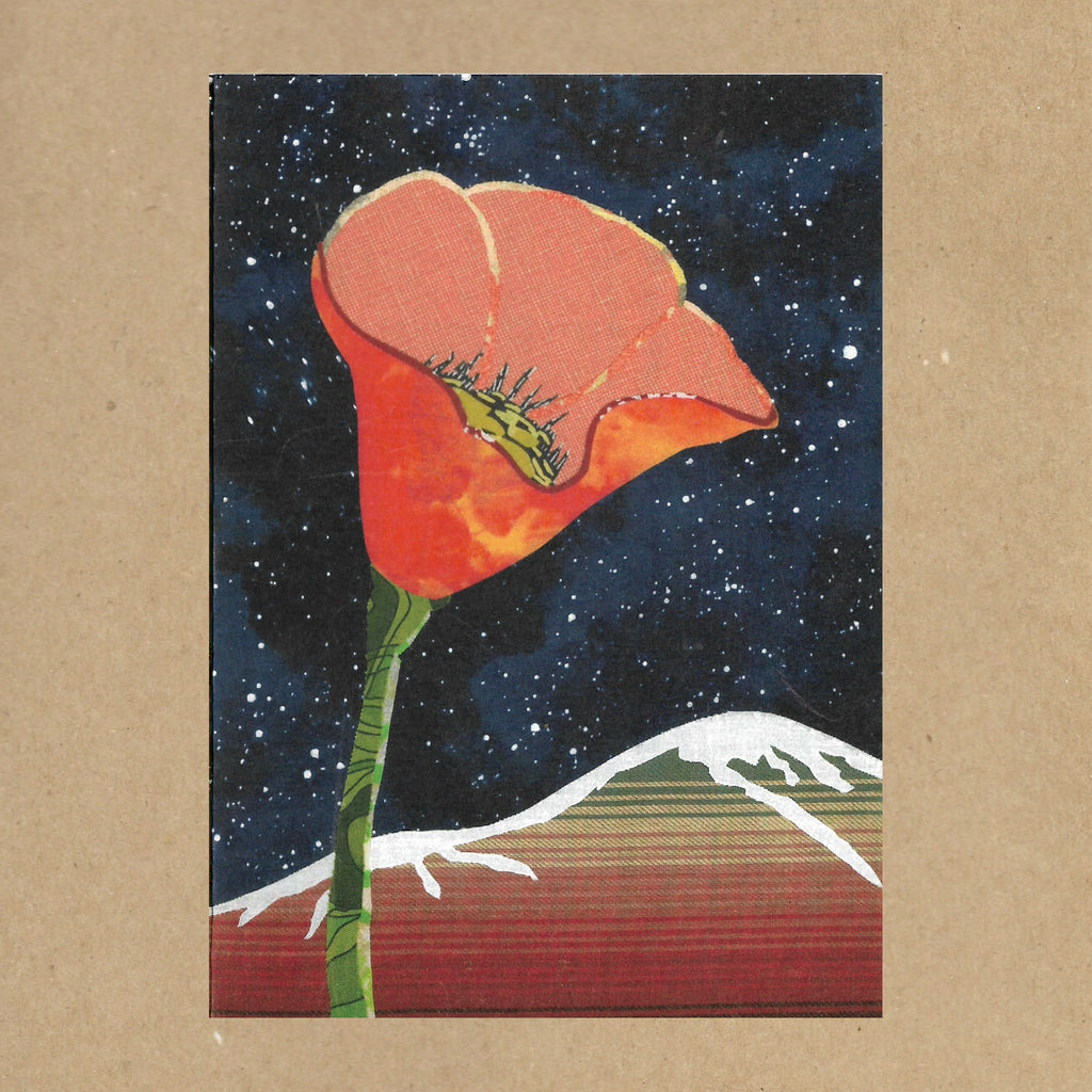 California Poppy No. 5 Blank Greeting Card
