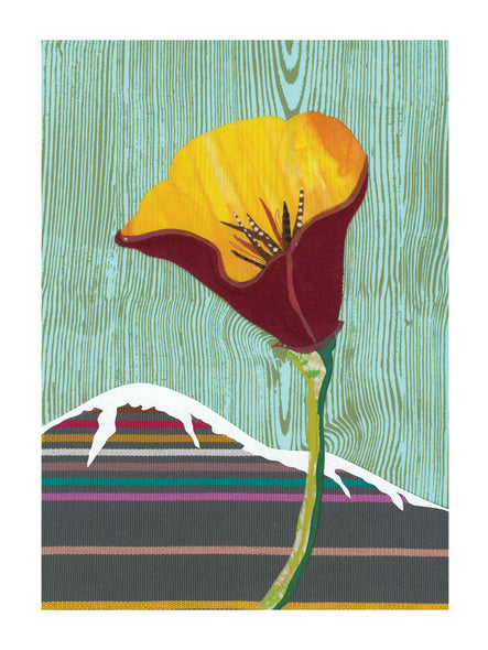 "California Poppy No. 10" Art Print