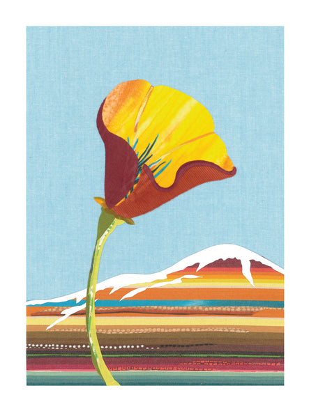 "California Poppy No. 14" Art Print