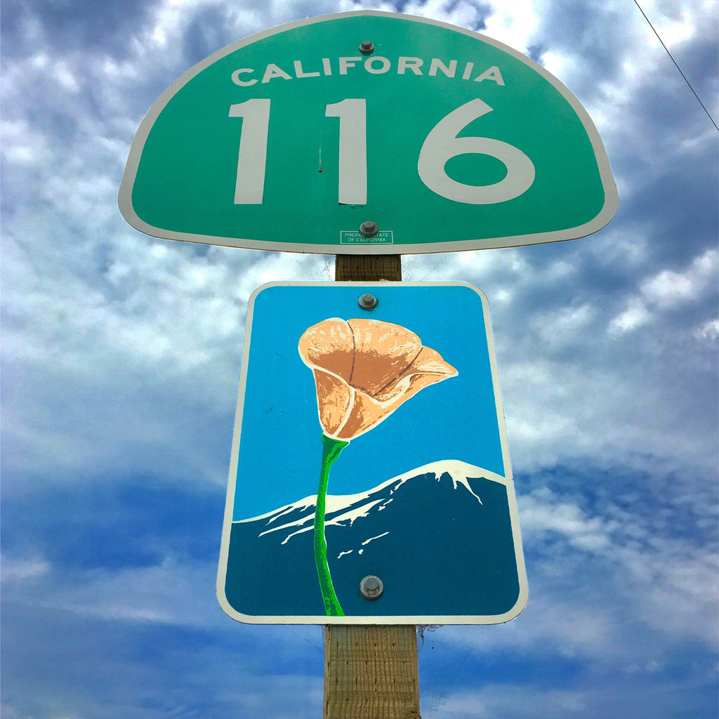 "CA Scenic Route No. 1" Art Print